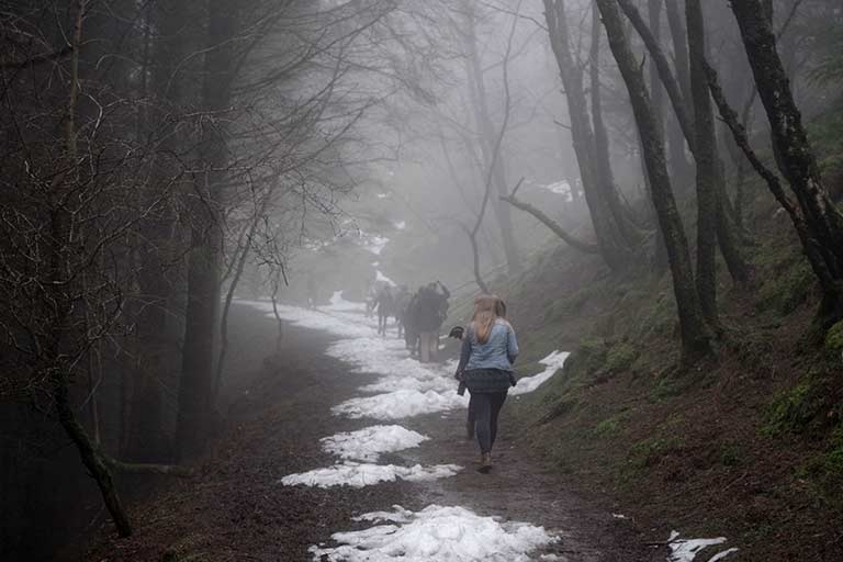People walk down a snowy trail in the forest in Ireland.
