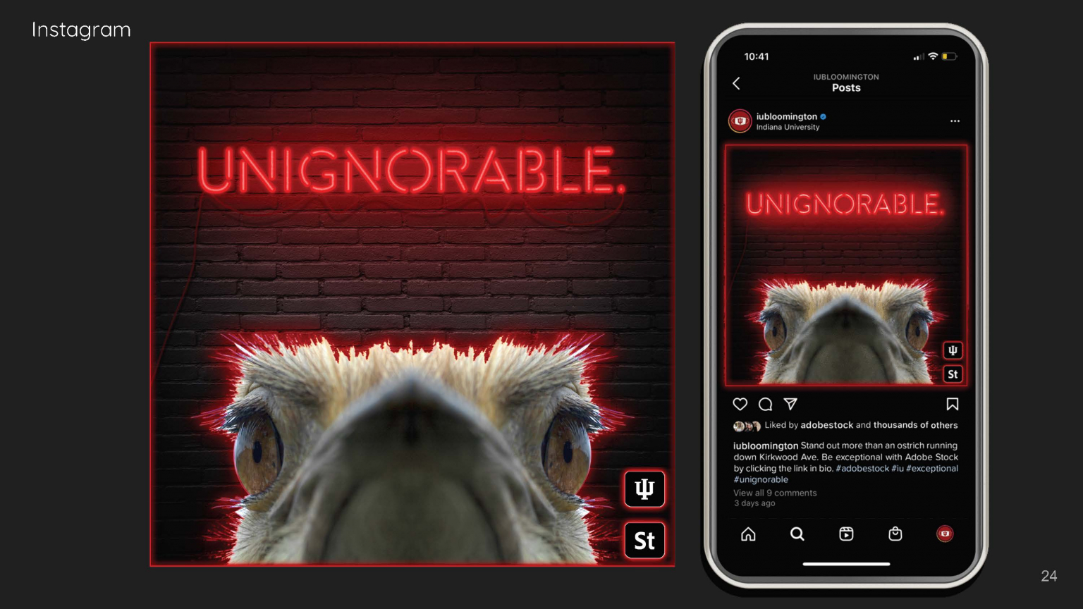 A mockup of an Instagram ad. An ostrich head appears under the word "unignorable" written in neon on a brick wall. It's posted to the @iubloomington account with the caption: Stand out more than an ostrich running down Kirkwood Ave. Be exceptional with Adobe Stock by clicking the link in bio. #adobestock #iu #exceptional #unignorable