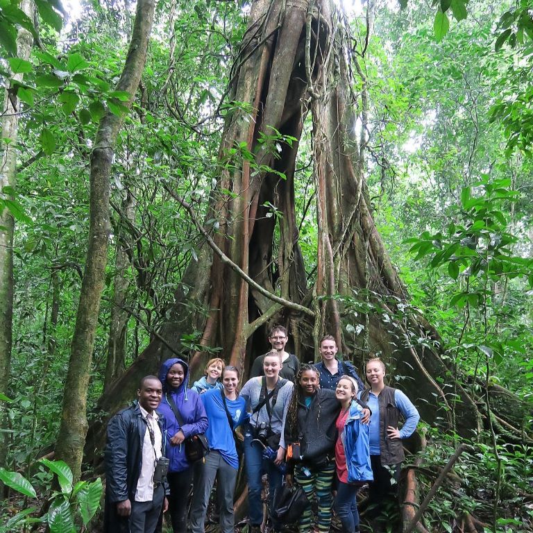 Group of people stand in the jungle in front of a huge tree.